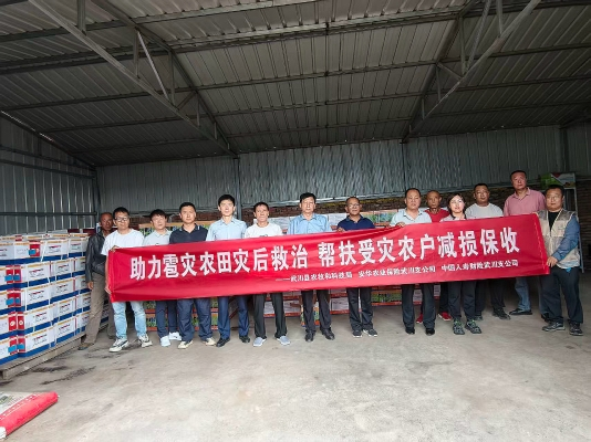 中国人寿财险呼和浩特中心支公司武川县支公司开展”助力雹灾农田灾后救治 帮扶受灾农户减损保收“活动
