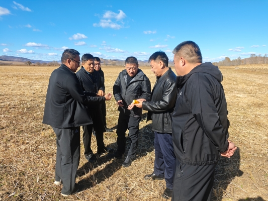 中国人寿财险兴安中心支公司班子下沉田间地头 督导秋季农险理赔助农惠农